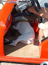 dryoff Show Images Page 16